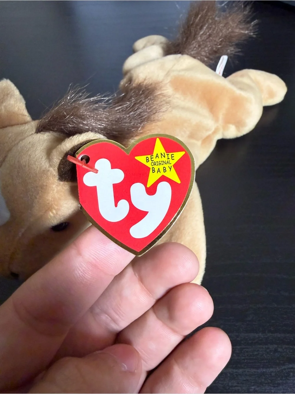Derby horse Ty beanie baby